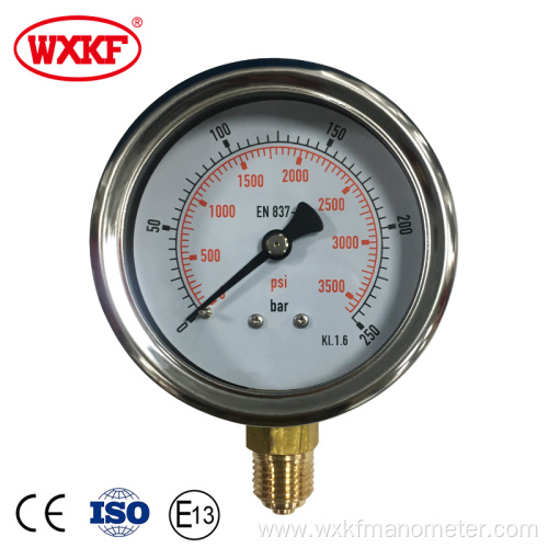 YN60 series back bottom connection pressure gauges